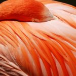 Fine Artists' Summer Series