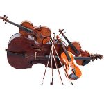 Science of Stringed Instruments