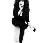 Ronnie Spector and the Ronettes