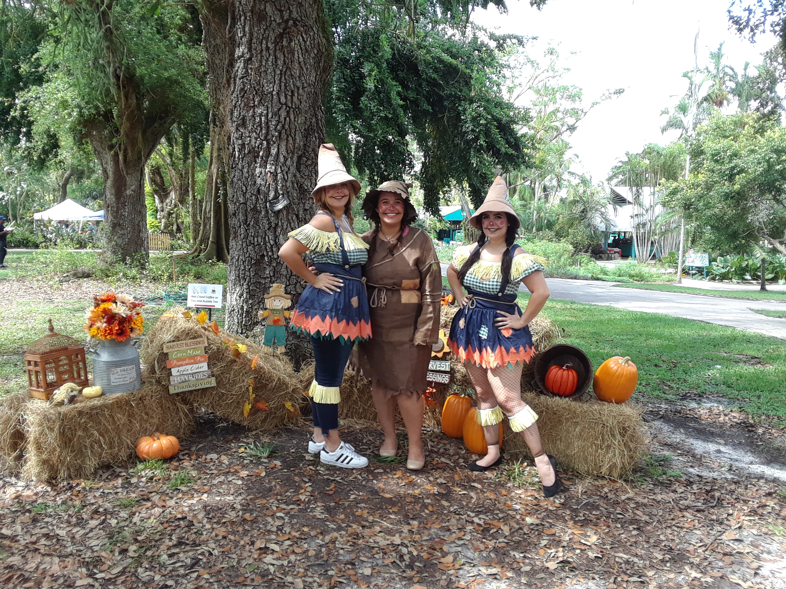 Harvest Festival (Covid Style)