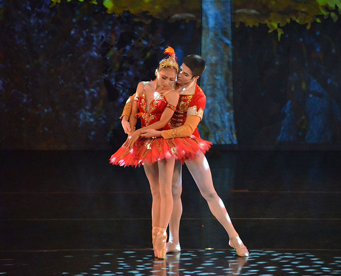 Firebird, Le Spectre de la Rose, Pentimento