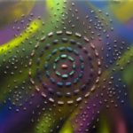 Closing Reception:  Side Effects