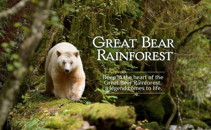 Great Bear Rainforest Opening Weekend Activities