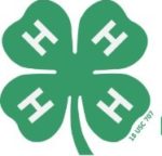 4-H Bug Camp