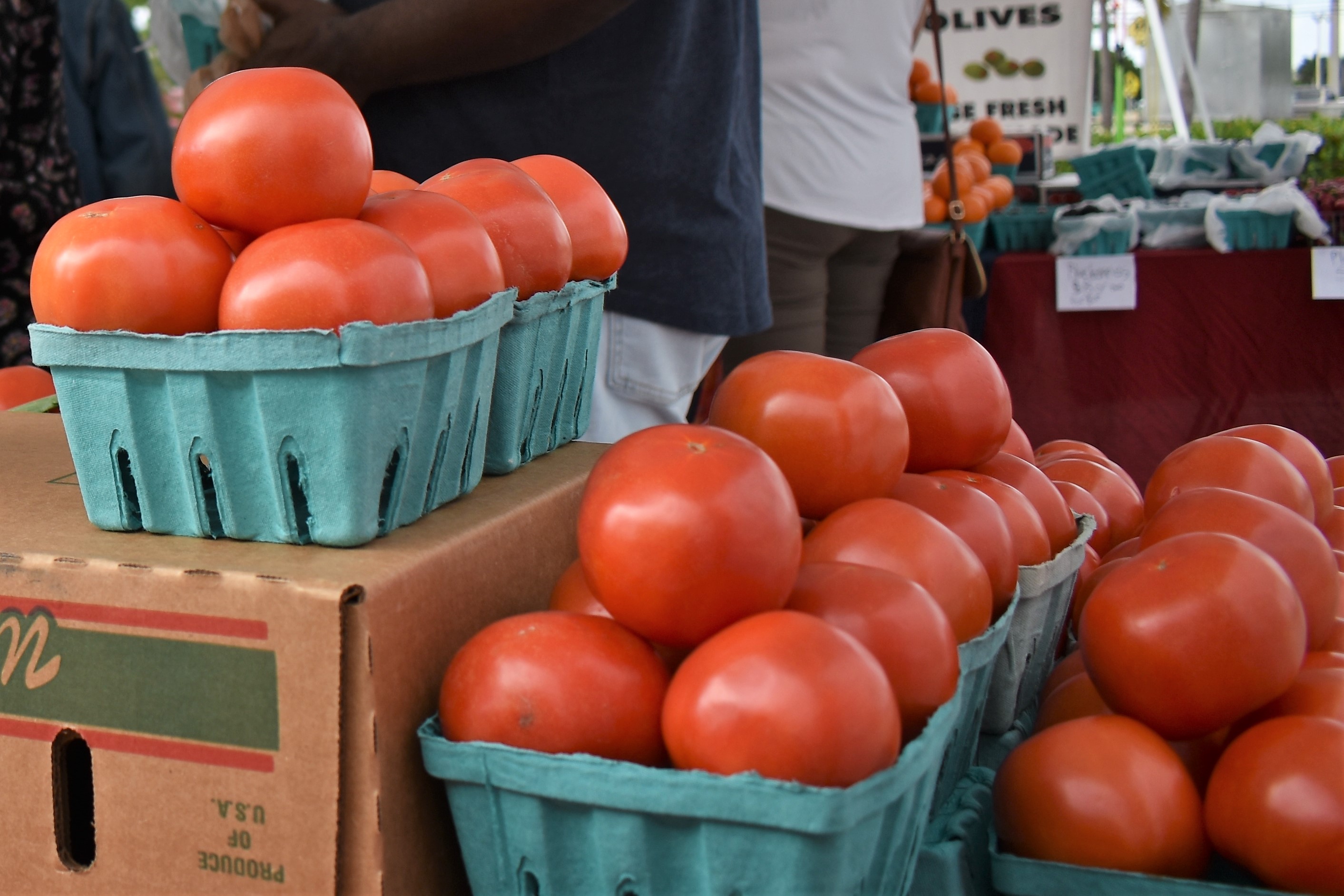 Green Market Pompano Beach