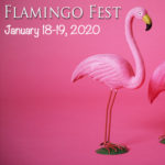 Flamingo Fest