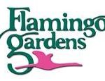 Garden of Lights at Flamingo Gardens