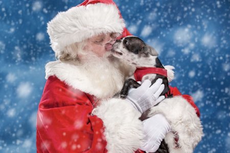 Santa Paws Pet Photos