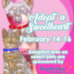 Adopt a Sweetheart