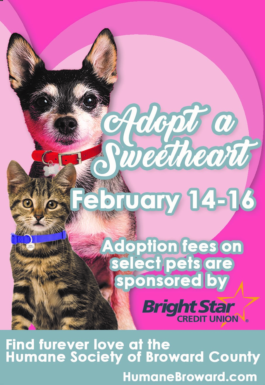 Adopt a Sweetheart