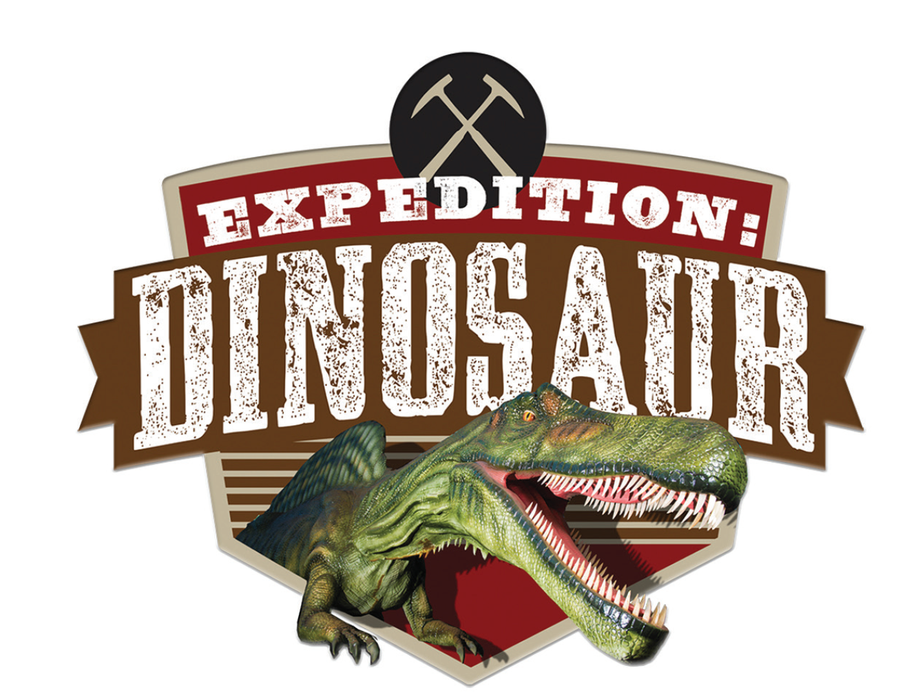 Roar & Explore Weekends at the Museum of Discovery and Science