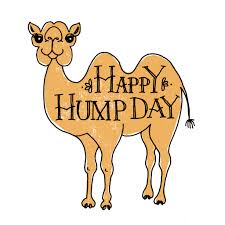 Happy Hump Day