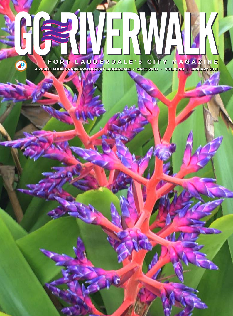 Image of the GoRiverwalk Magazine January 2021 Cover