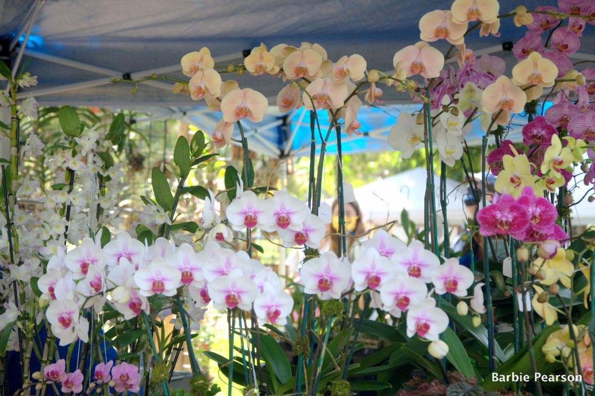Garden Mart