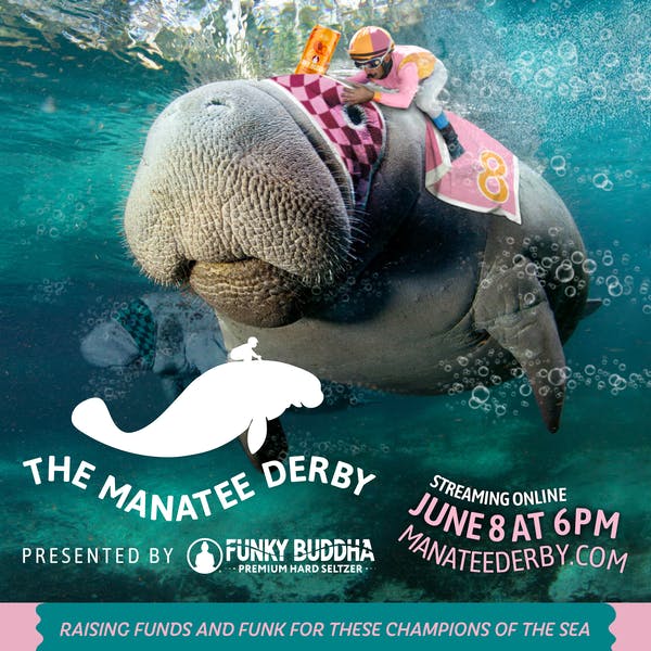 Manatee Derby