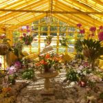 14th Annual International Orchid & Garden Festival