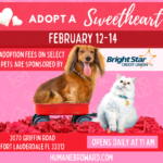 Adopt a Sweetheart