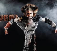 Cats