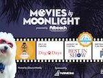 Movies by Moonlight