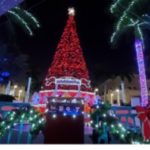 Symphony in Lights at Gulfstream Park Village