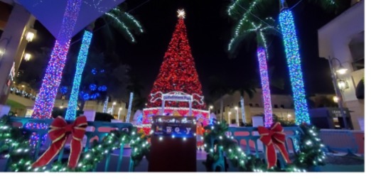 Symphony in Lights at Gulfstream Park Village