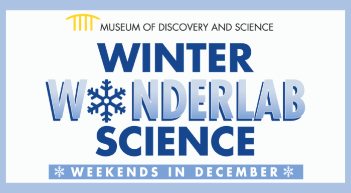 Winter Wonderlab Science Weekends