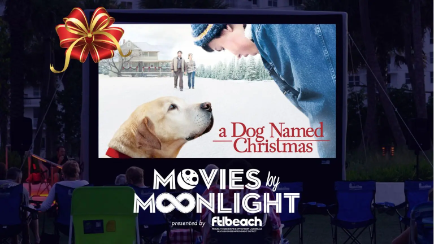Movies By Moonlight Holiday Edition