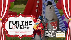 Third Annual Fur the Love Pet Fest