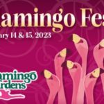 Flamingo Fest