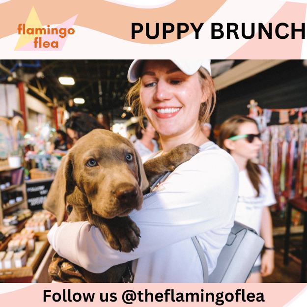 Flamingo Flea's Puppy Brunch