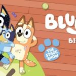 BLUEY'S BIG PLAY