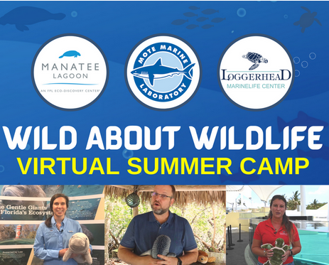 Manatee Lagoon’s “Wild About Wildlife”