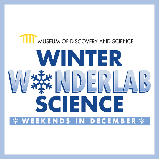 Winter Wonderlab Science Weekends