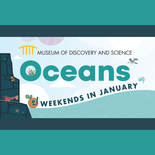 Ocean Weekends at MODS