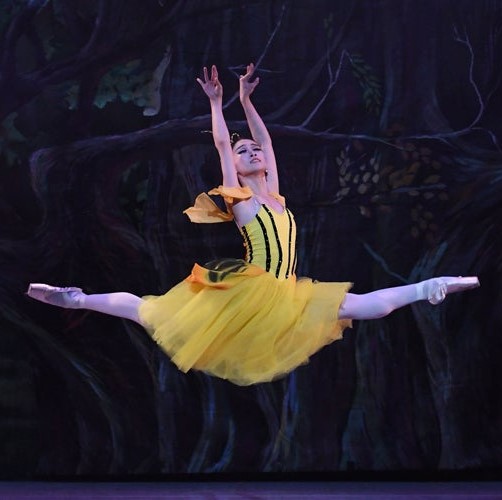 Arts Ballet Theatre of Florida: Le Papillon