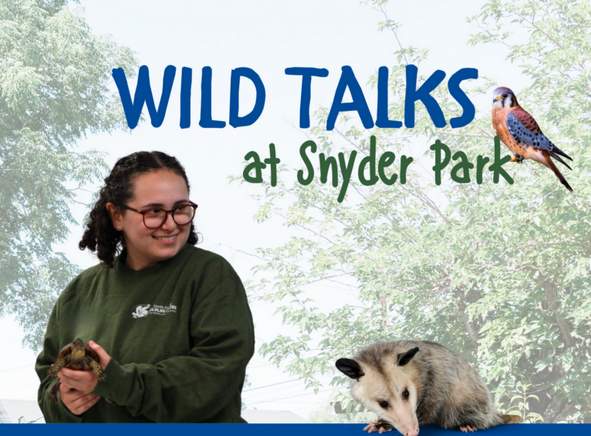 Wild Talk at the Park