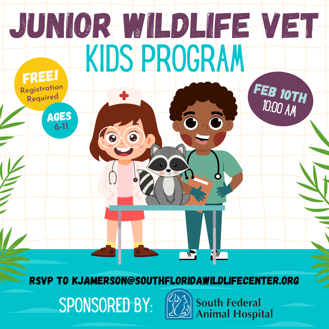 Junior Wildlife Vet - Kids Program