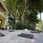 Yoga Flow on the Veranda – A Tropical Treat