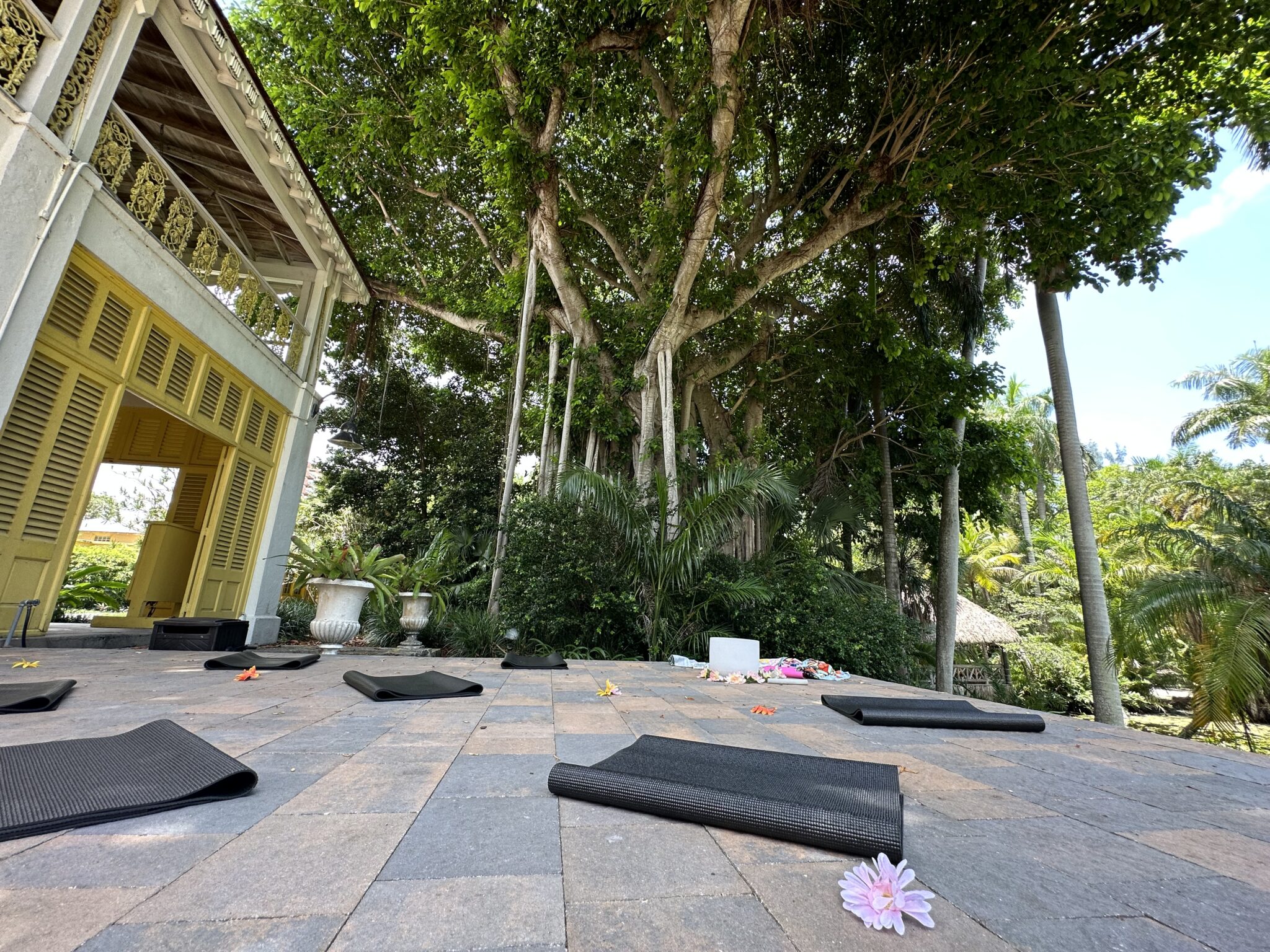 Yoga Flow on the Veranda – A Tropical Treat