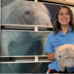 Wild About Wildlife Virtual Summer Camp