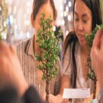 Bonsai Workshop at LauderAle Brewery