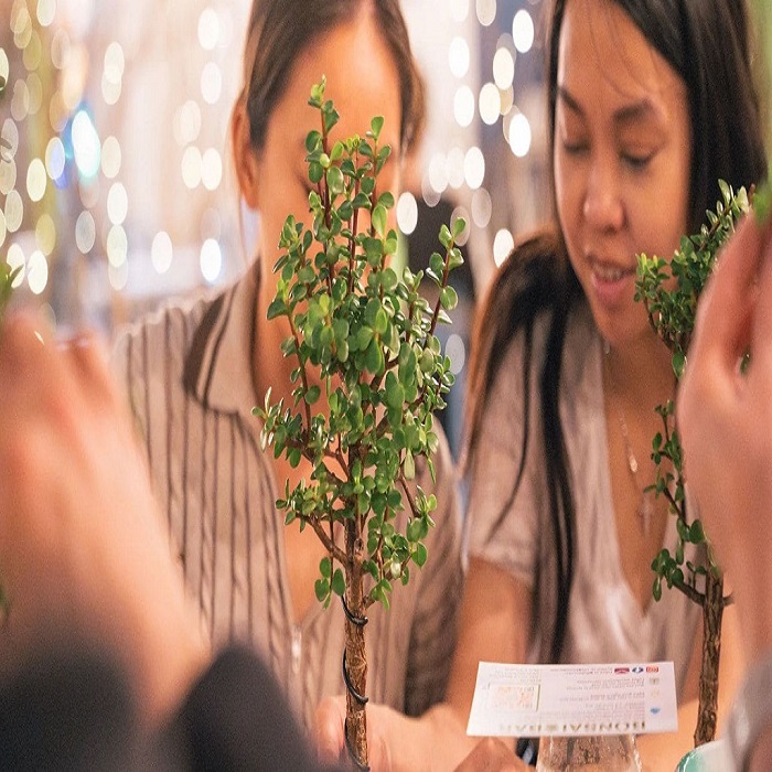 Bonsai Workshop at LauderAle Brewery