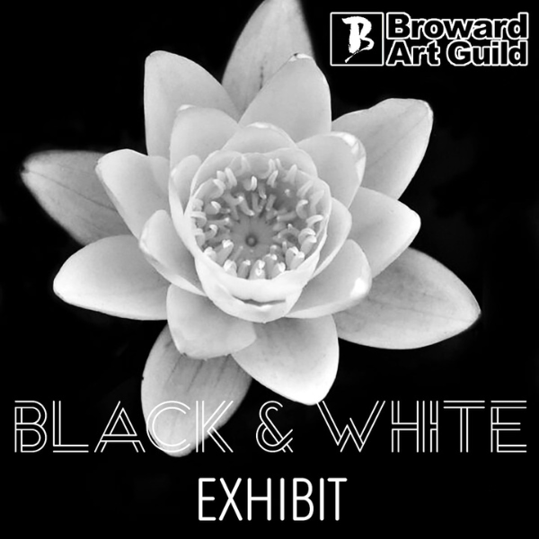Black & White Exhibit