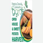 Open House & Sweet Potato Harvest