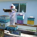 Is Bee Keeping Right for You?