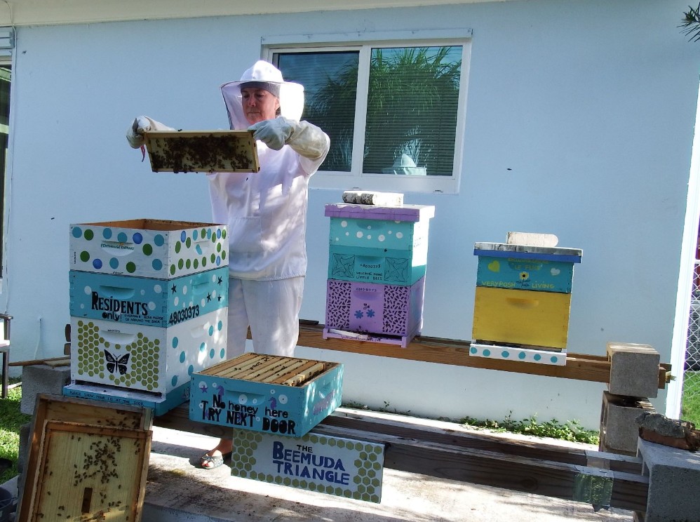 Is Bee Keeping Right for You?