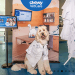 Pumpkins, Paws and Protectors