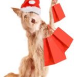 Fratarcangeli Wealth Management PAWS Holiday Shopping Bazaar