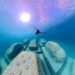 Imagine: Art in the Environment