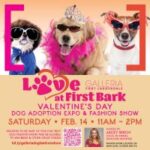 “Love at First Bark” Dog Adoption Expo and Fashion Show
